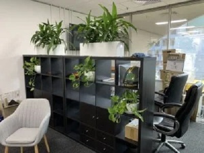 Office Plant Hire Melbourne