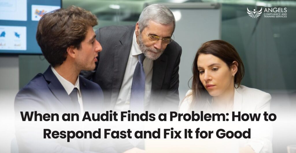 Audit